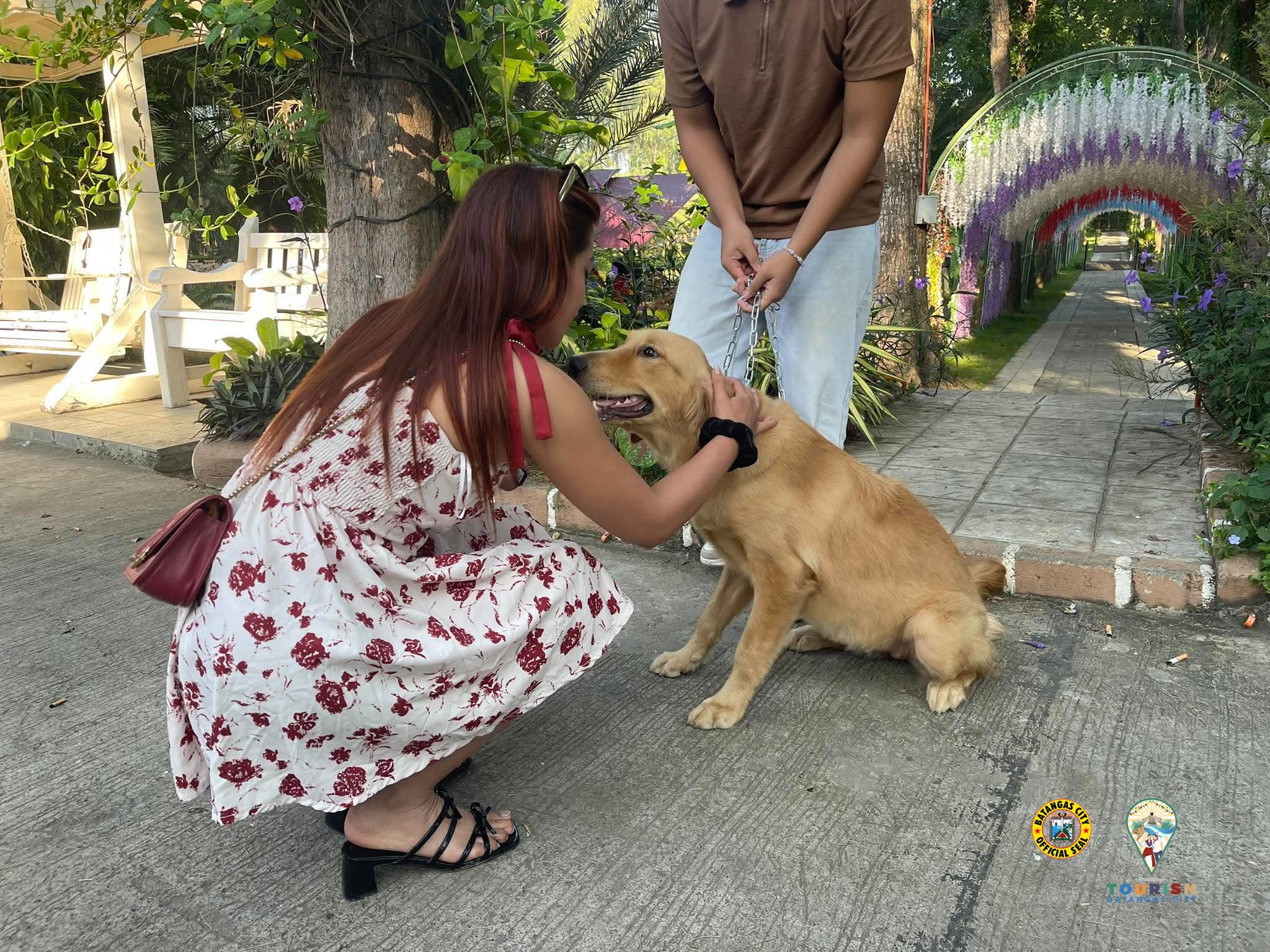 A guest greeting a golden retriever beside the flower-covered walkway